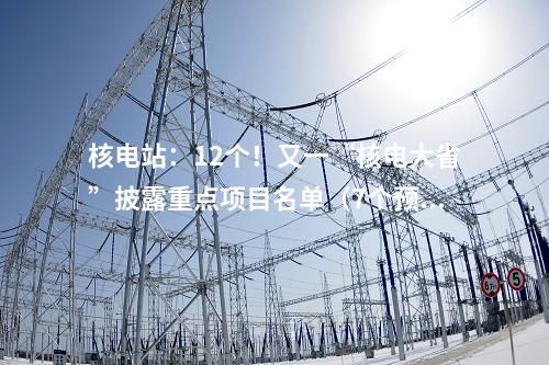 核電站:12個!又一“核電大省”披露重點項目名單(7個預備項目)